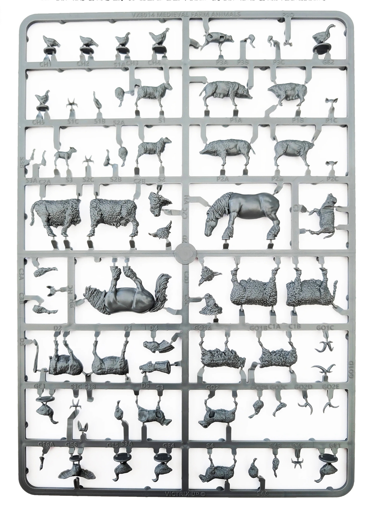 Medieval and Dark Ages Farm Animals ⏣ Pillage ⏣ Victrix