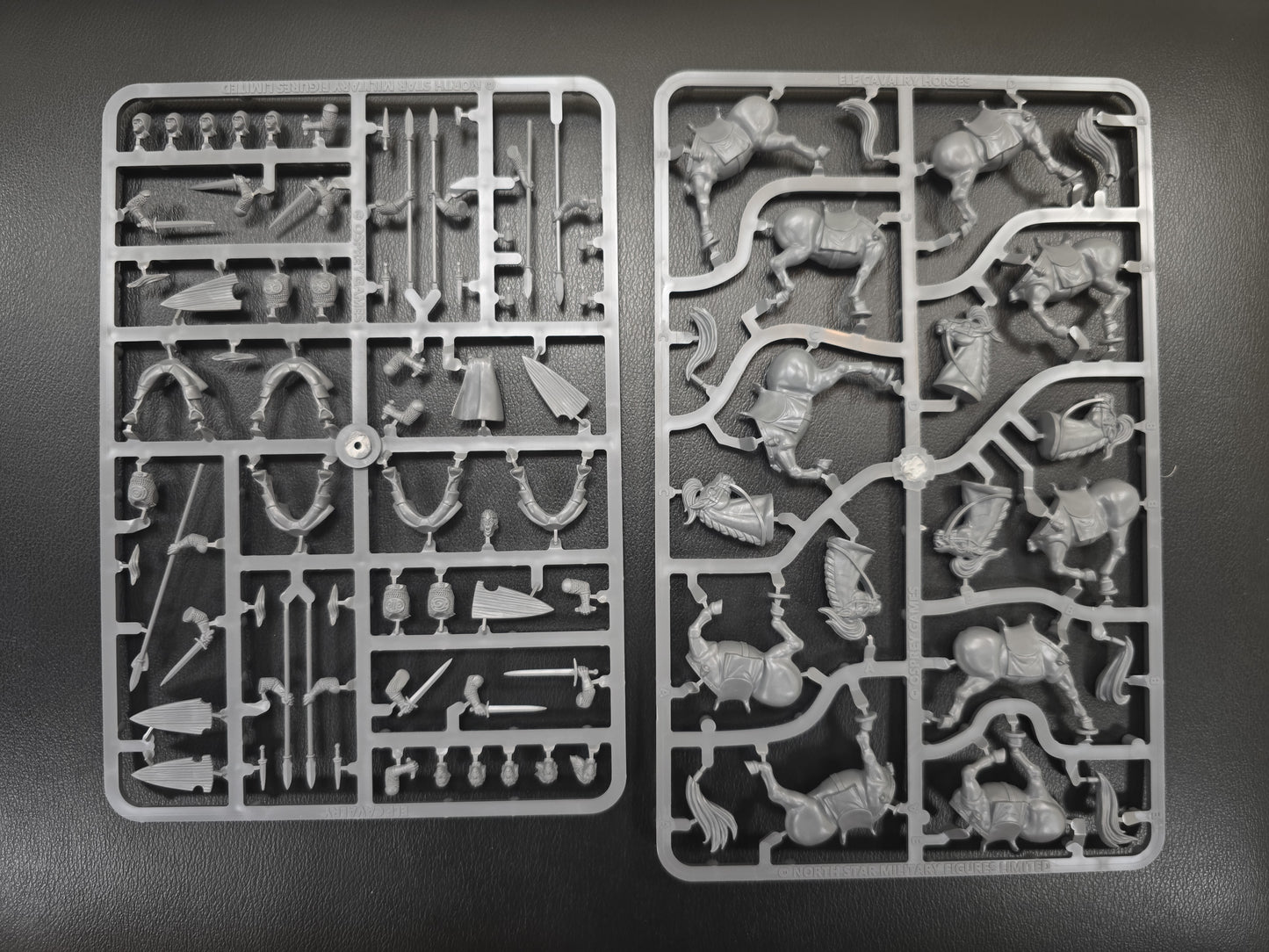 Elf Cavalry ⏣ 5 figures ⏣ Oathmark ⏣ SAGA ⏣ North Star