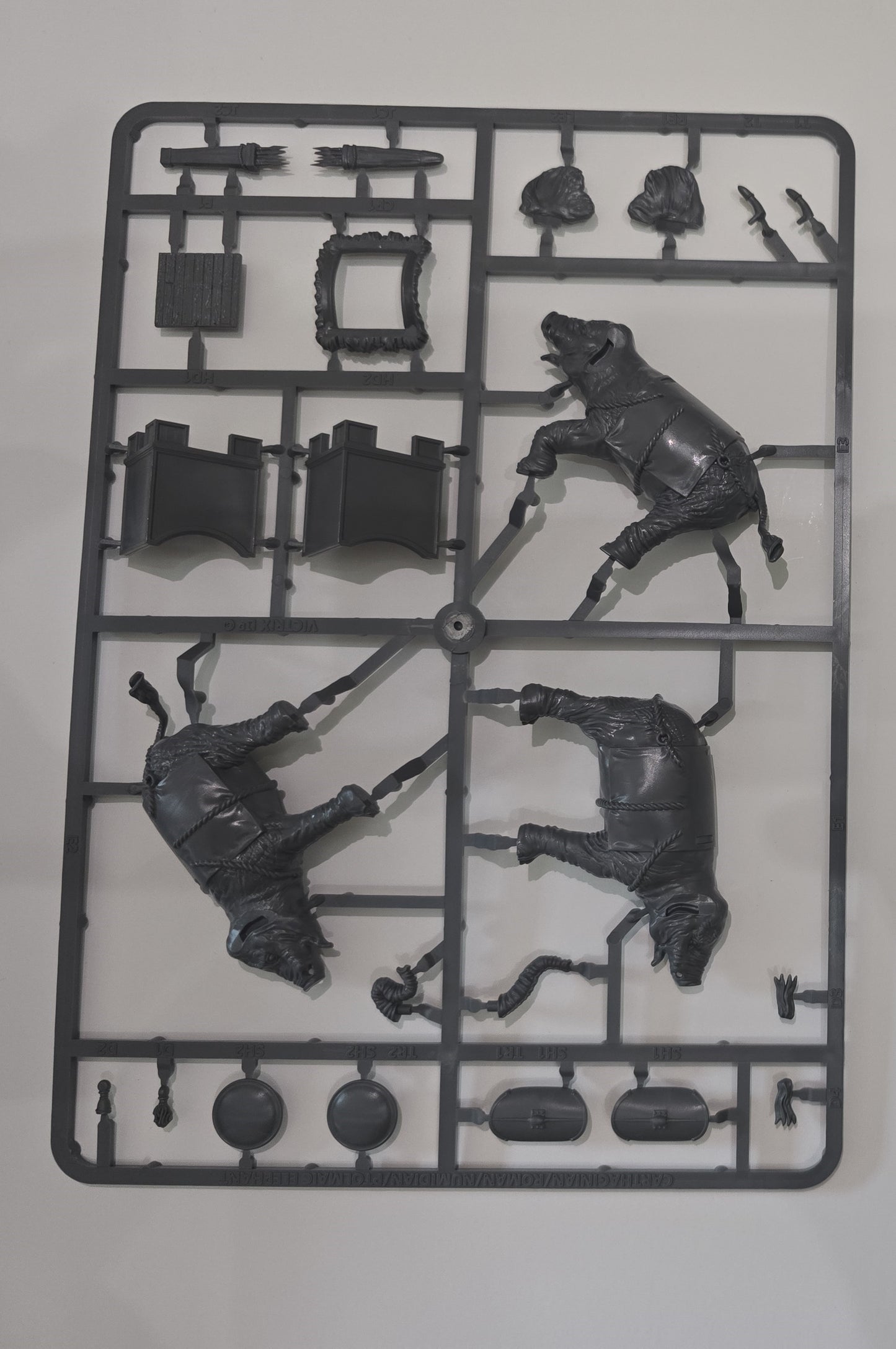 African War Elephant ⏣ SAGA ⏣ Victrix