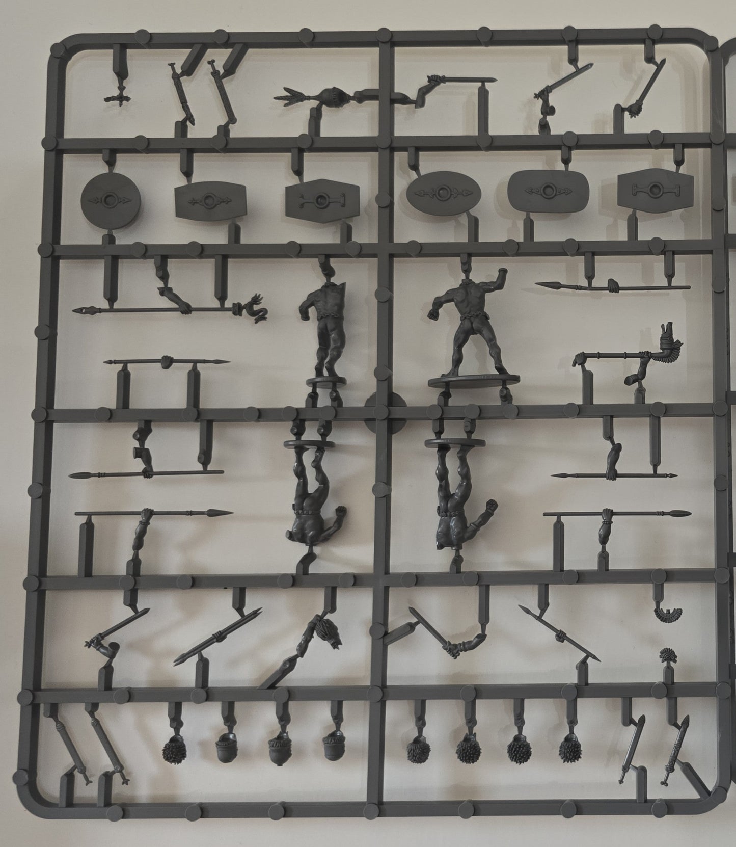 Gallic Naked Fanatics ⏣ 4 figures ⏣ SAGA ⏣ Victrix