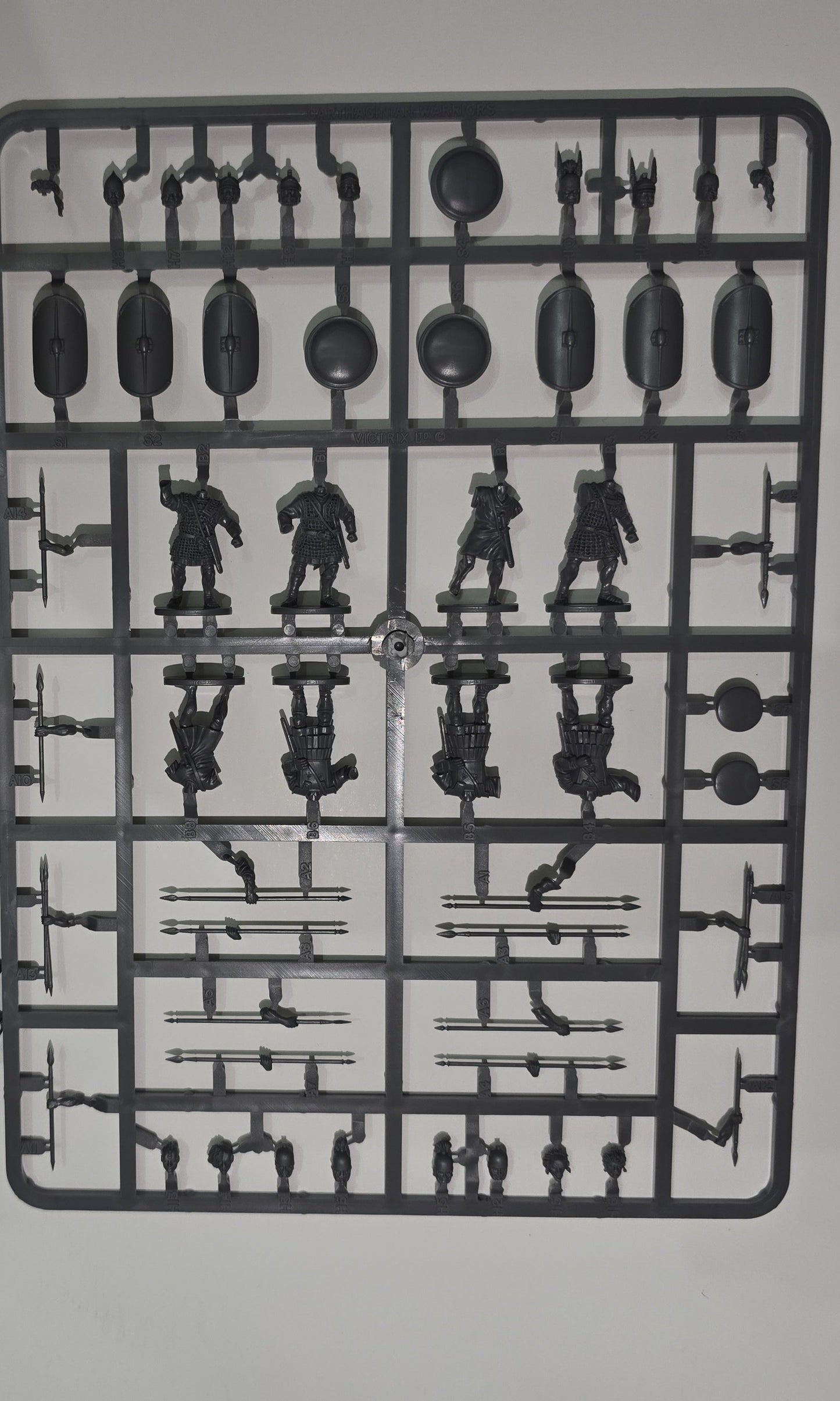 Warriors of Carthage ⏣ 8 figures ⏣ Victrix ⏣ SAGA