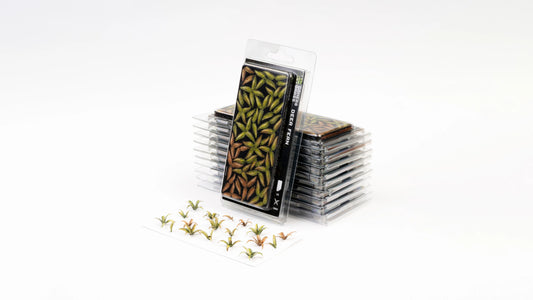 Deer Fern ⏣ GamersGrass