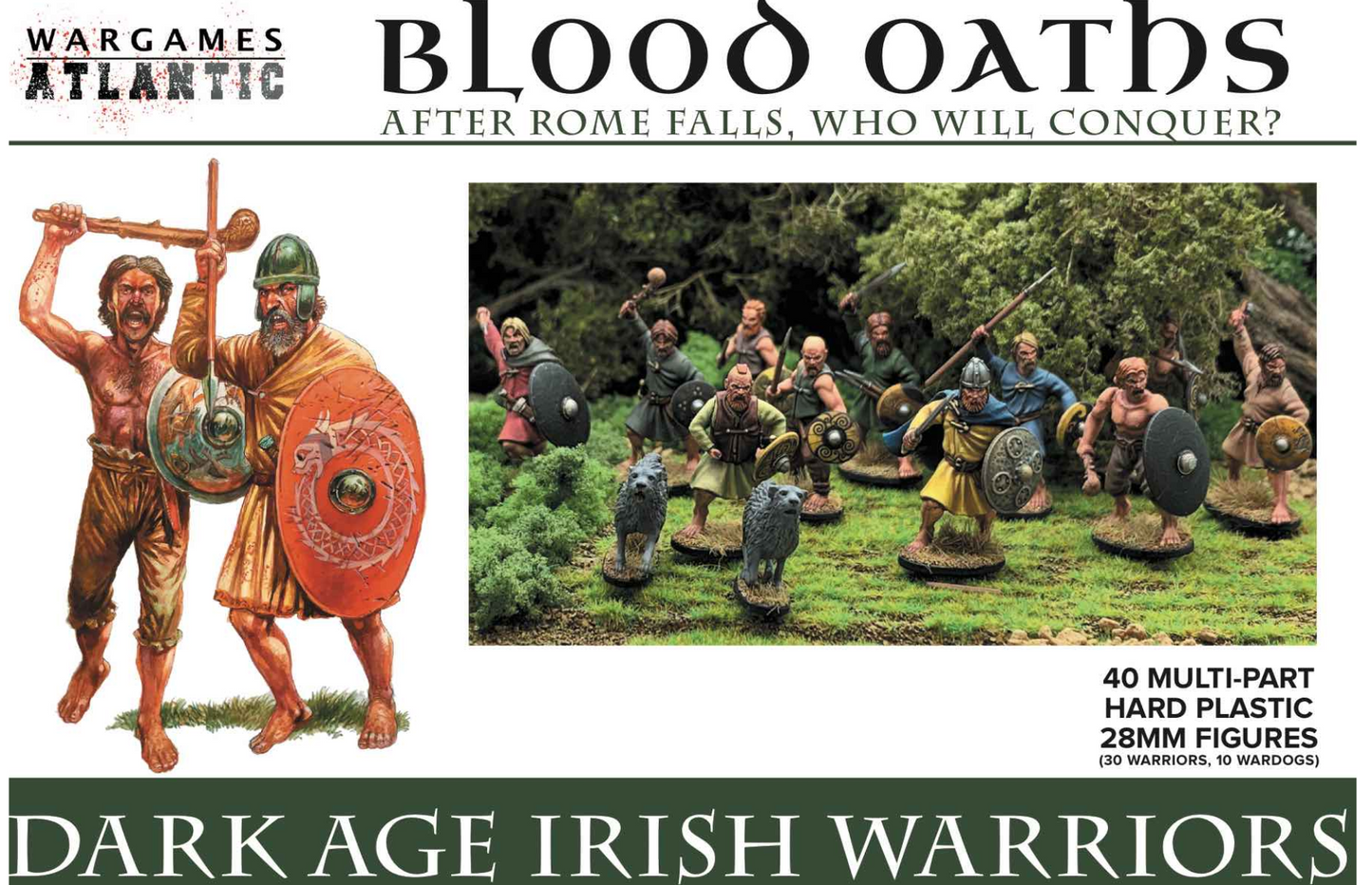 Dark Age Irish Warriors