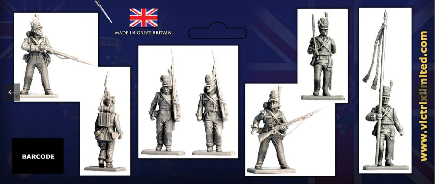 British Infantry Waterloo - Center Company