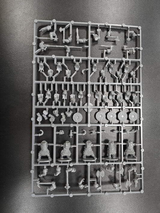 Dwarf Heavy Infantry ⏣ 5 figures ⏣ Oathmark ⏣ SAGA ⏣ North Star