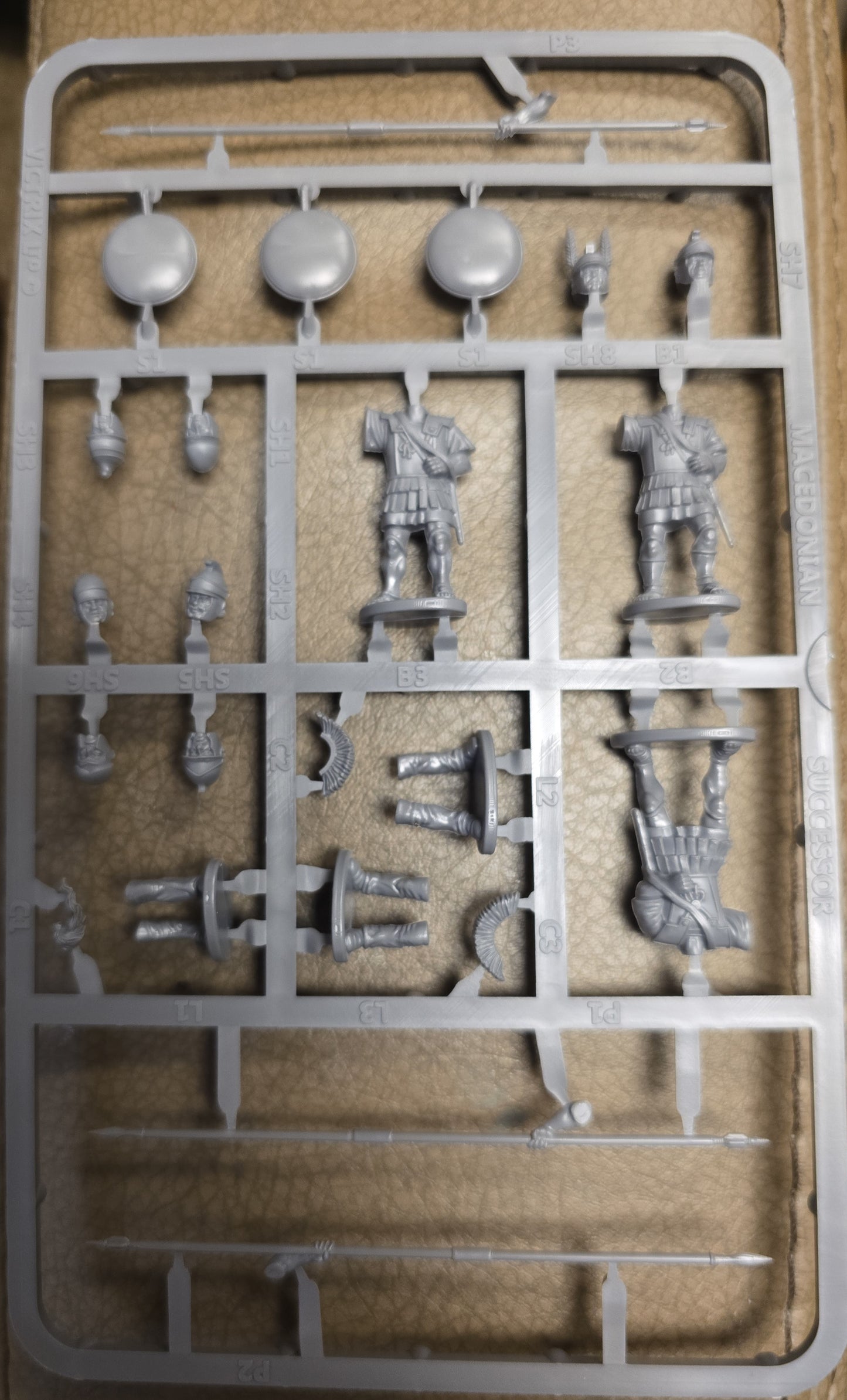 Macedonian Successor Phalangites ⏣ 3 figures ⏣ SAGA ⏣ Victrix