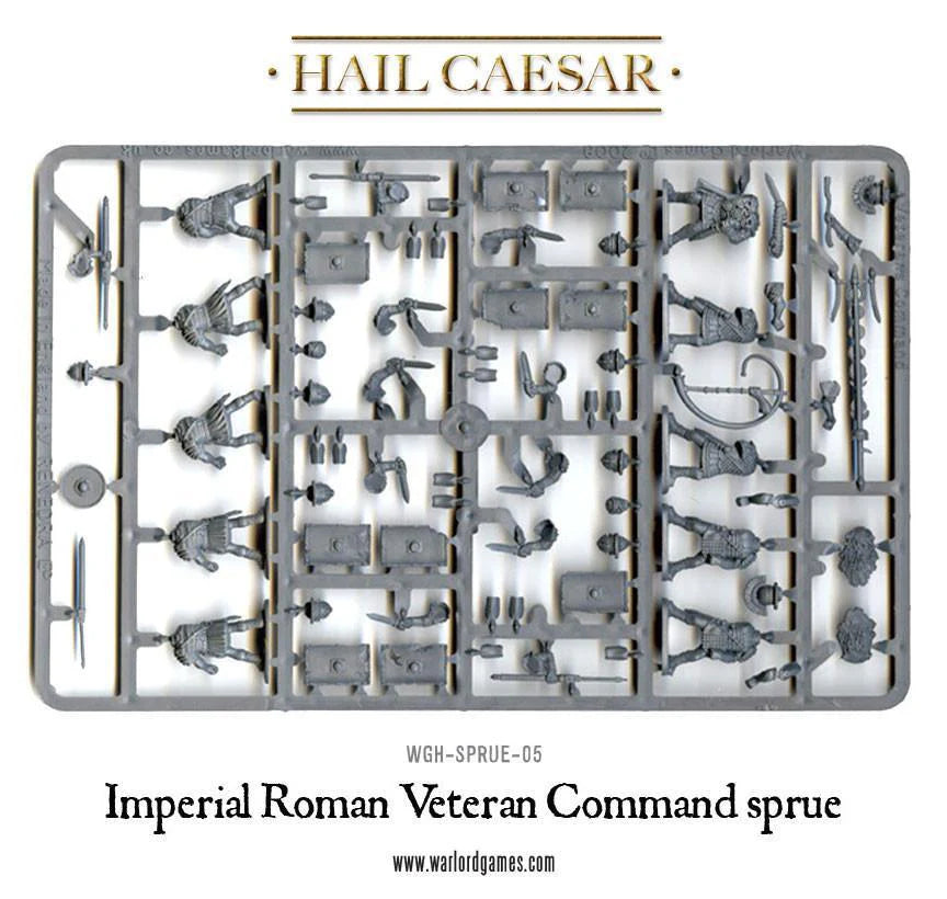 Imperial Roman Veterans (Command) ⏣ 10 figures ⏣ SAGA ⏣ Warlord