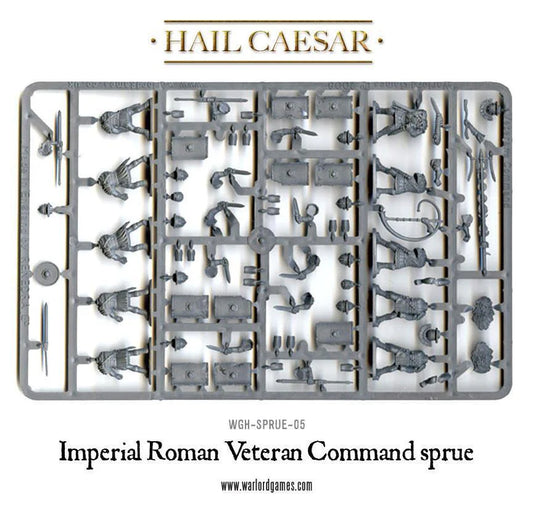 Imperial Roman Veterans (Command) ⏣ 10 figures ⏣ SAGA ⏣ Warlord