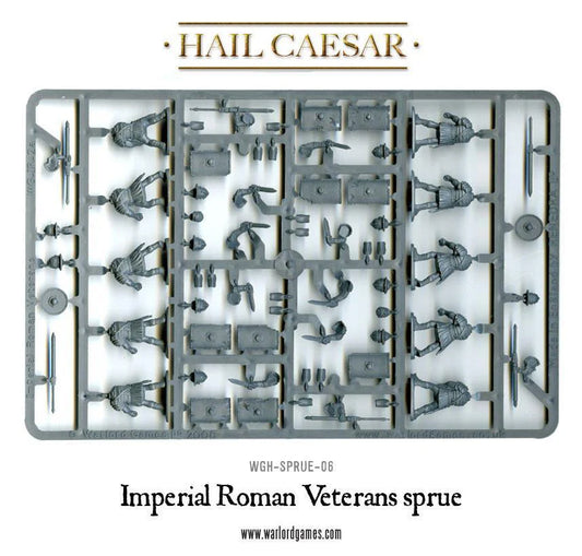 Imperial Roman Veterans ⏣ 10 figures ⏣ SAGA ⏣ Warlord